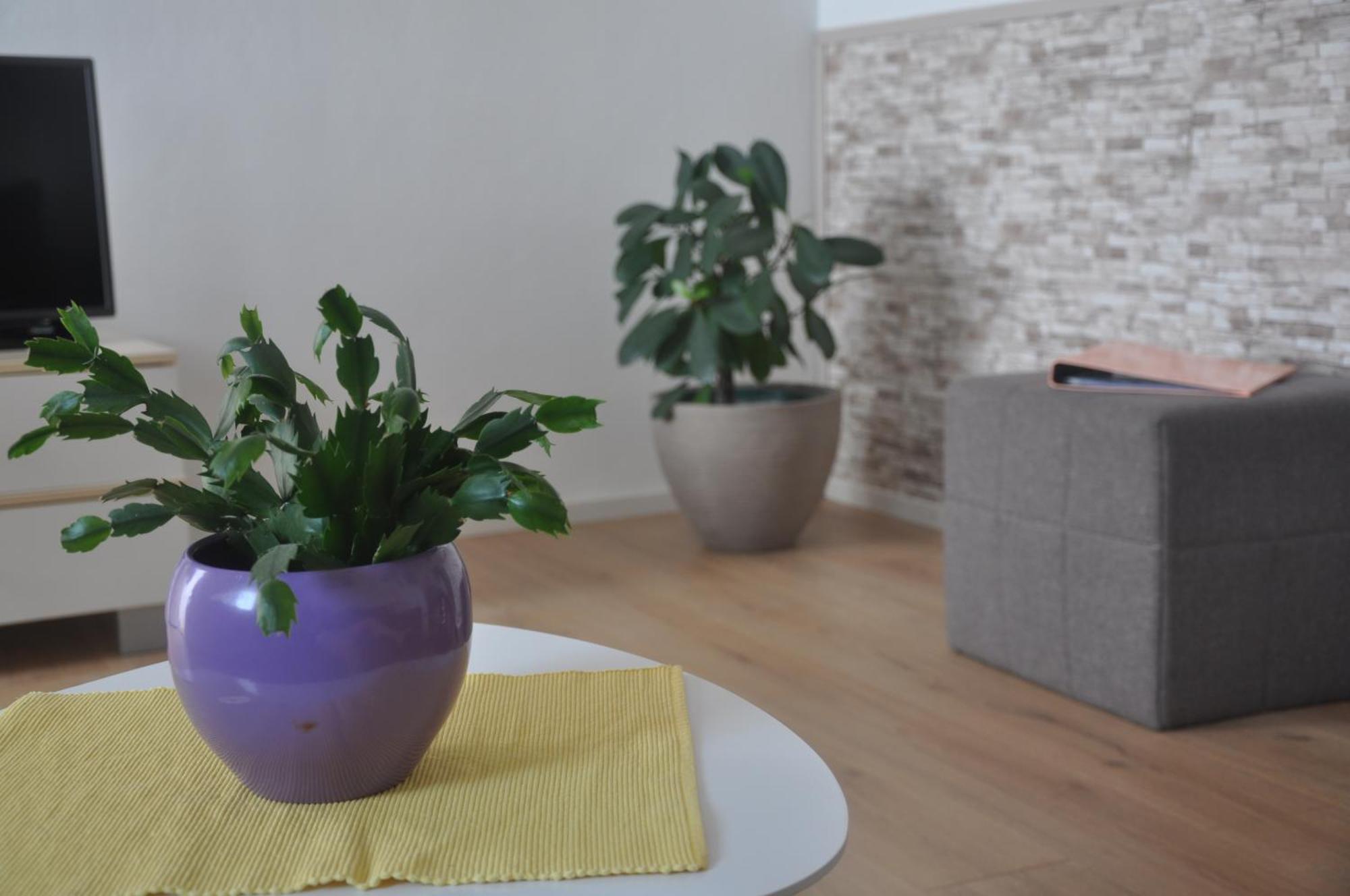 Apartman Mirna Rovinj Eksteriør billede
